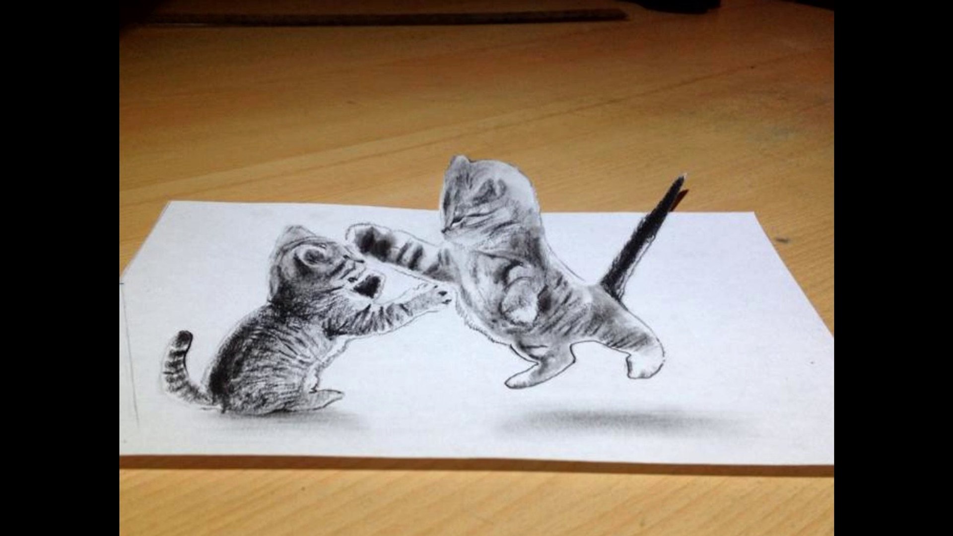 Un Dessin 3d De Deux Chats A Voir