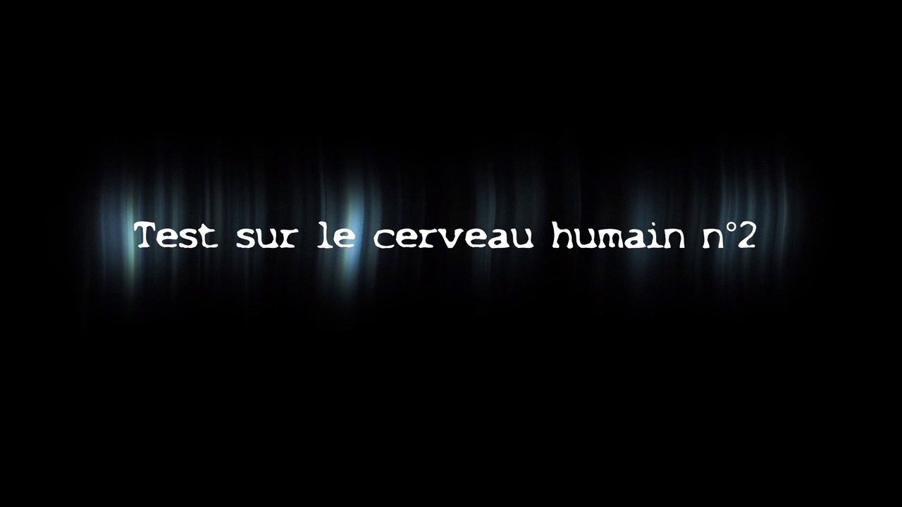Mr.Test - Test Sur Le Cerveau Humain N°2