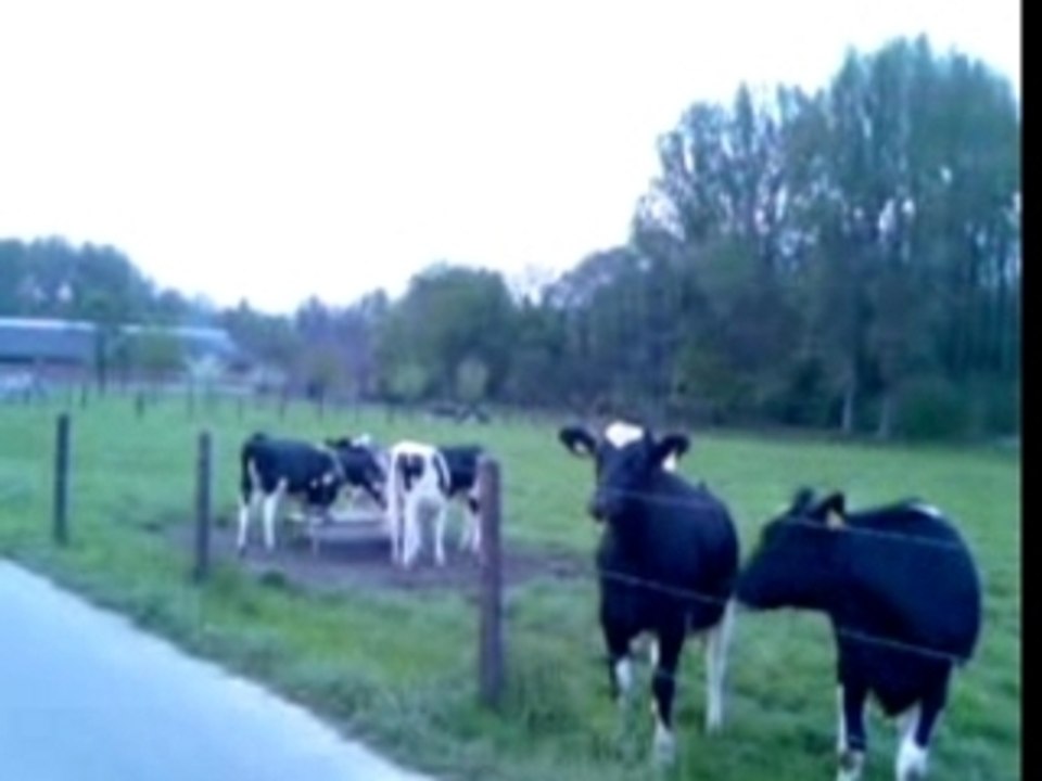 Wildwest in odenkirchen