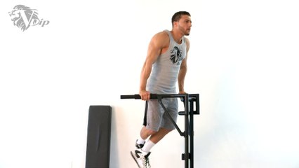 V-Dip Bar Hand Positions and Muscle Groups