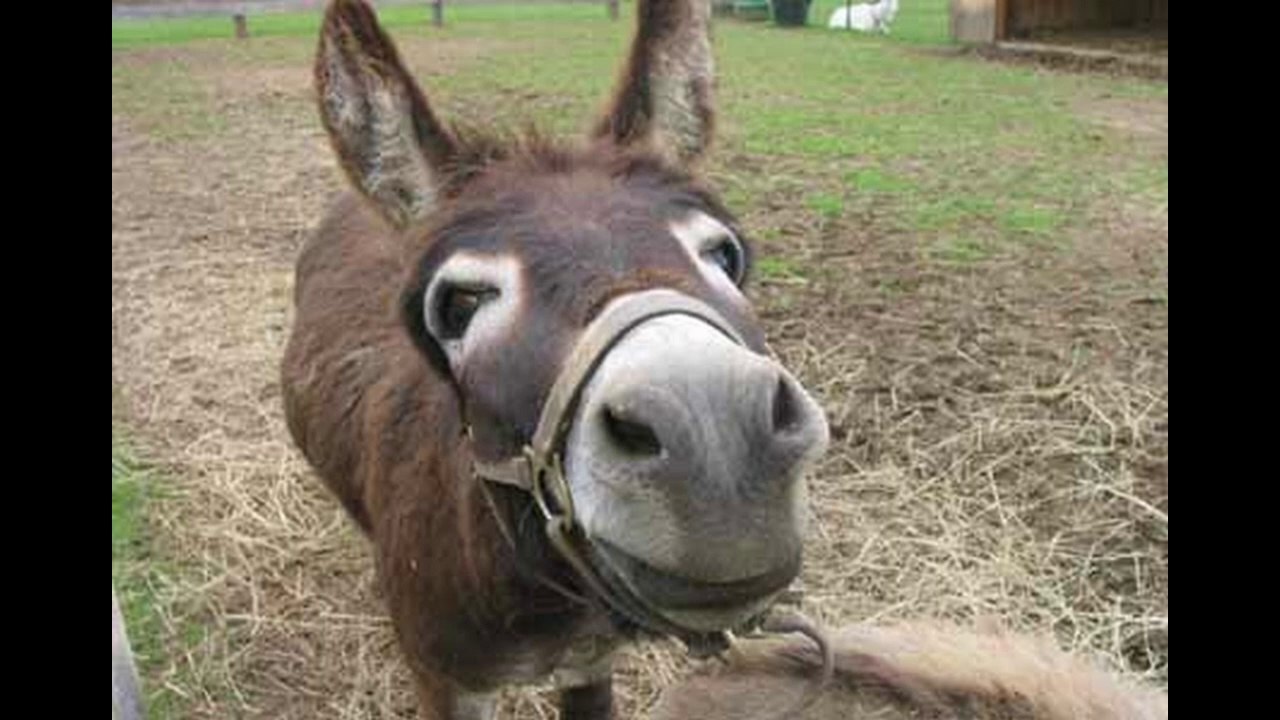 2014-01-31 Online-Petitionen als 'Grund' für mehr Kontrolle im Internet?