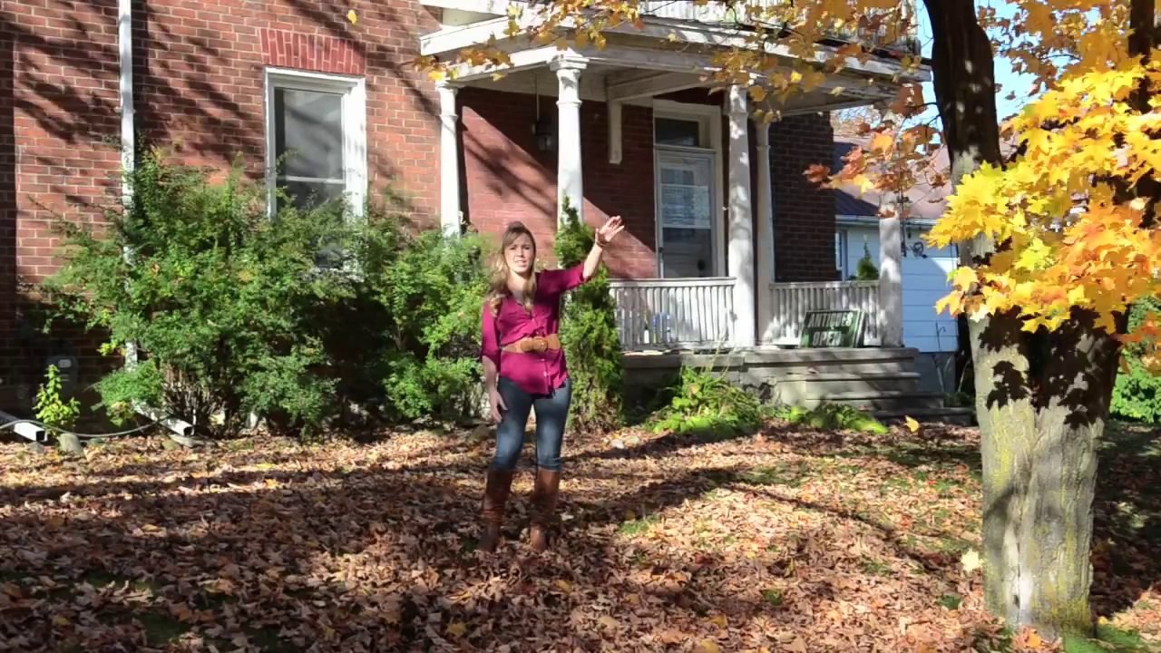 Chainsaw , The Band Perry, Music Video, Elyse Saunders (Official Cover)