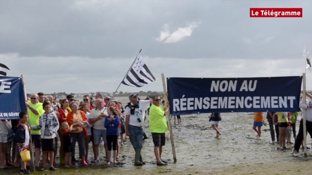 Morbihan. Non au réensemencement de la petite mer de Gâvres