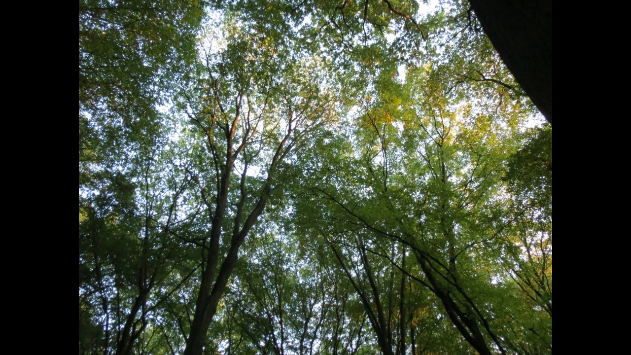 2014-03-26 GerechtigkeitIstNurEine(Der)Säule(N)