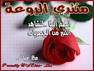 starac4 quot 10FEV QUERELLE Imad et saly