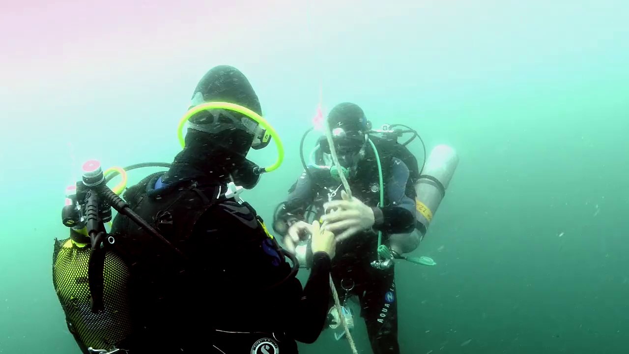 Palier de décompression