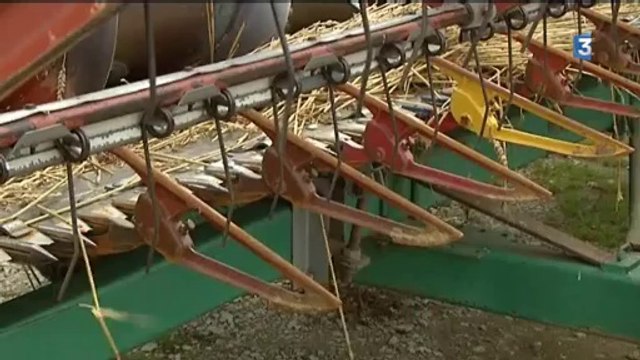 Bilan des moissons en Haute-Normandie