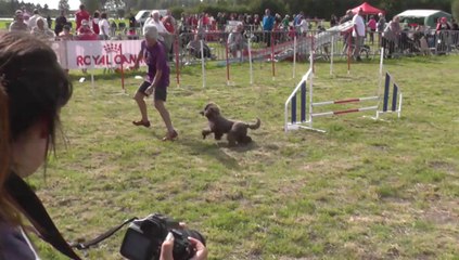 TROPHEE 2014 ELIOK M2