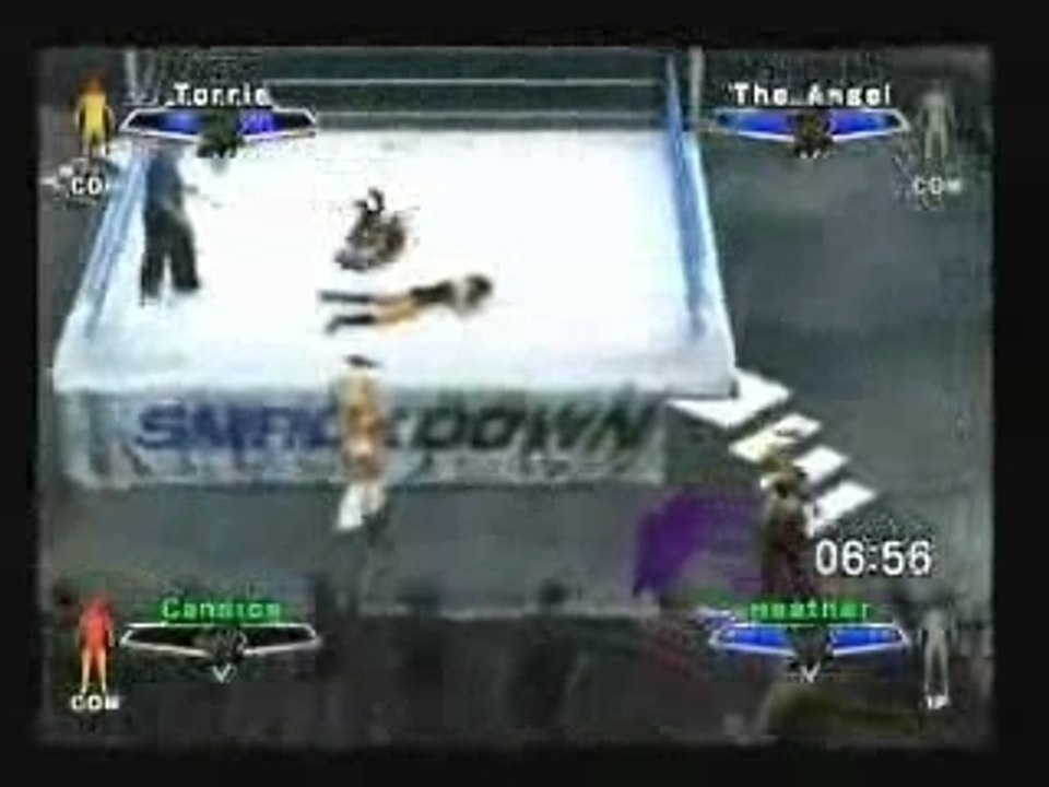 Divas Elimination Tag Team Match