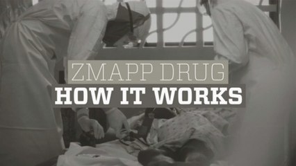 How the ZMapp drug works to fight Ebola