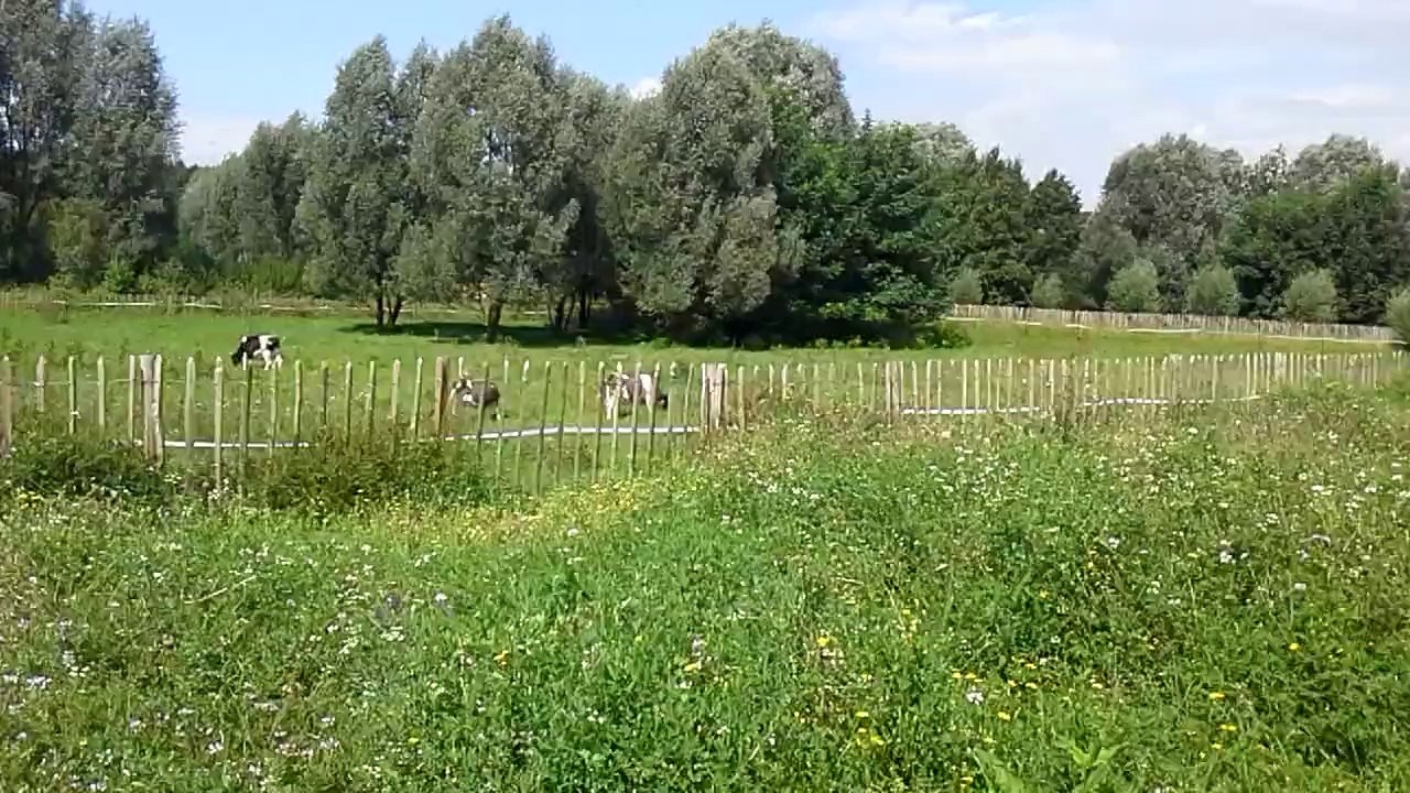 Un air de campagne en Seine-Saint-Denis (Parc du Sausset)