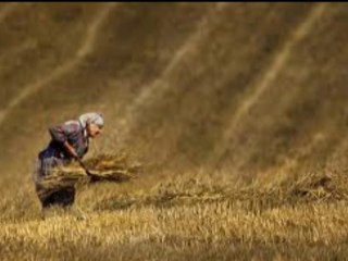 Taner DEMİRALP - ÇARIK 1. Bölüm - Adagio