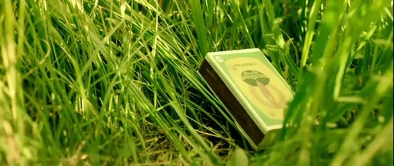 Букашки Часть 2