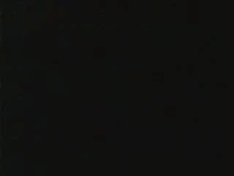 Pub_fox