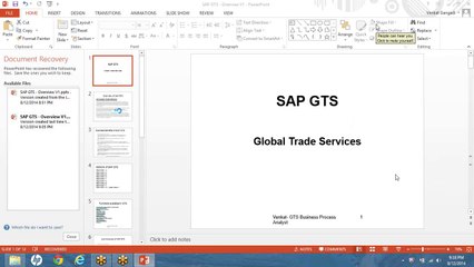 SAP GTS Training Part 2