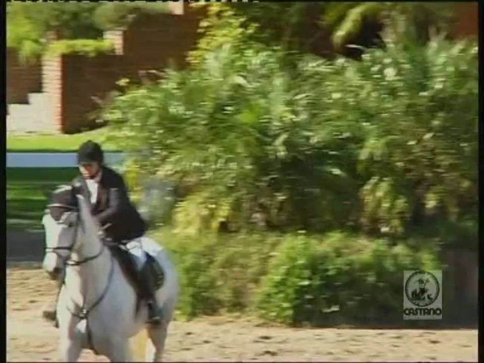 San Jorge Lady White