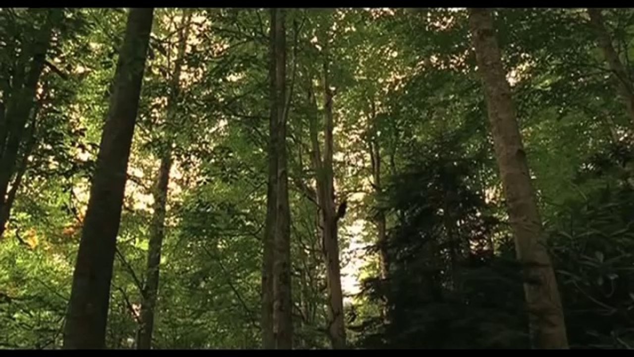 Um Doce Olhar - Trailer
