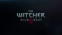 The Witcher 3  Wild Hunt “Downwarren” gameplay teaser