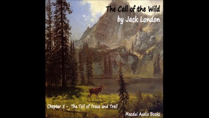 The Call of the Wild by Jack London Chapter 5 Free Audio Book.wmv
