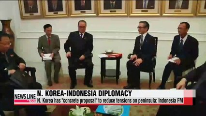 N. Korea comes up with concrete proposal to reduce tensions on peninsula Indonesia FM