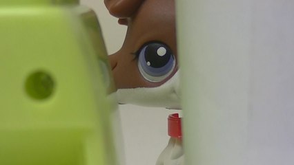 ★ LPS Double Trouble - Episode 5 (Fake Stories) ★