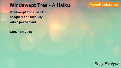 Susy Evelyne - Windswept Tree - A Haiku