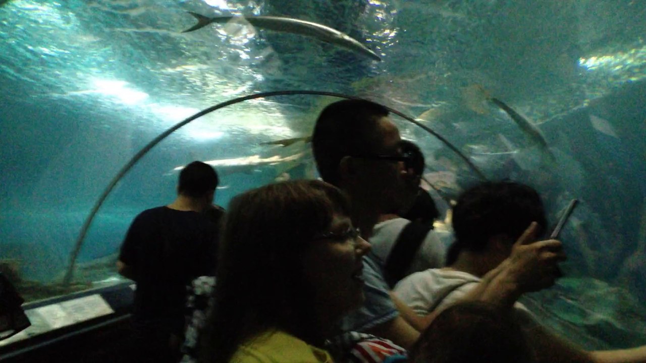 2014-07-18 16-41-47