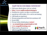 SAP Fico Overview/Sap Fico training & classes