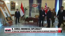 N. Korea comes up with concrete proposal to reduce tensions on peninsula Indonesia FM