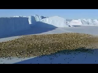 BAMWAR .COM【】성북구오피한척을 팔달오피∬빌어운반해라