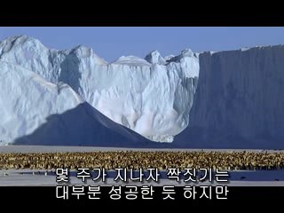 BAMWAR .COM『』팔달오피한족 단원구오피Å비켜!
