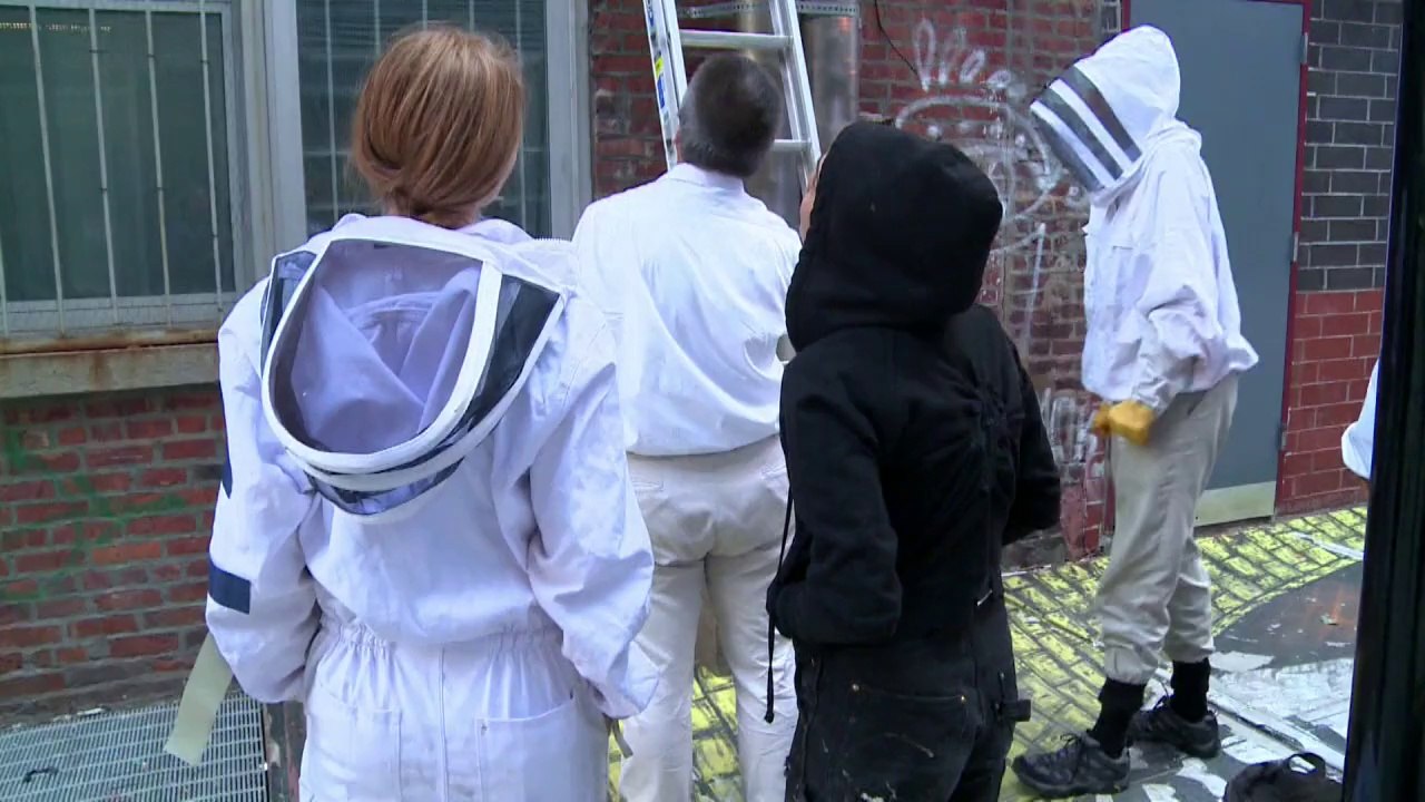 Honig von den Dächern in New York