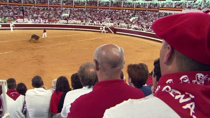 Dax, la Feria 2014 : course landaise du mercredi 13 août