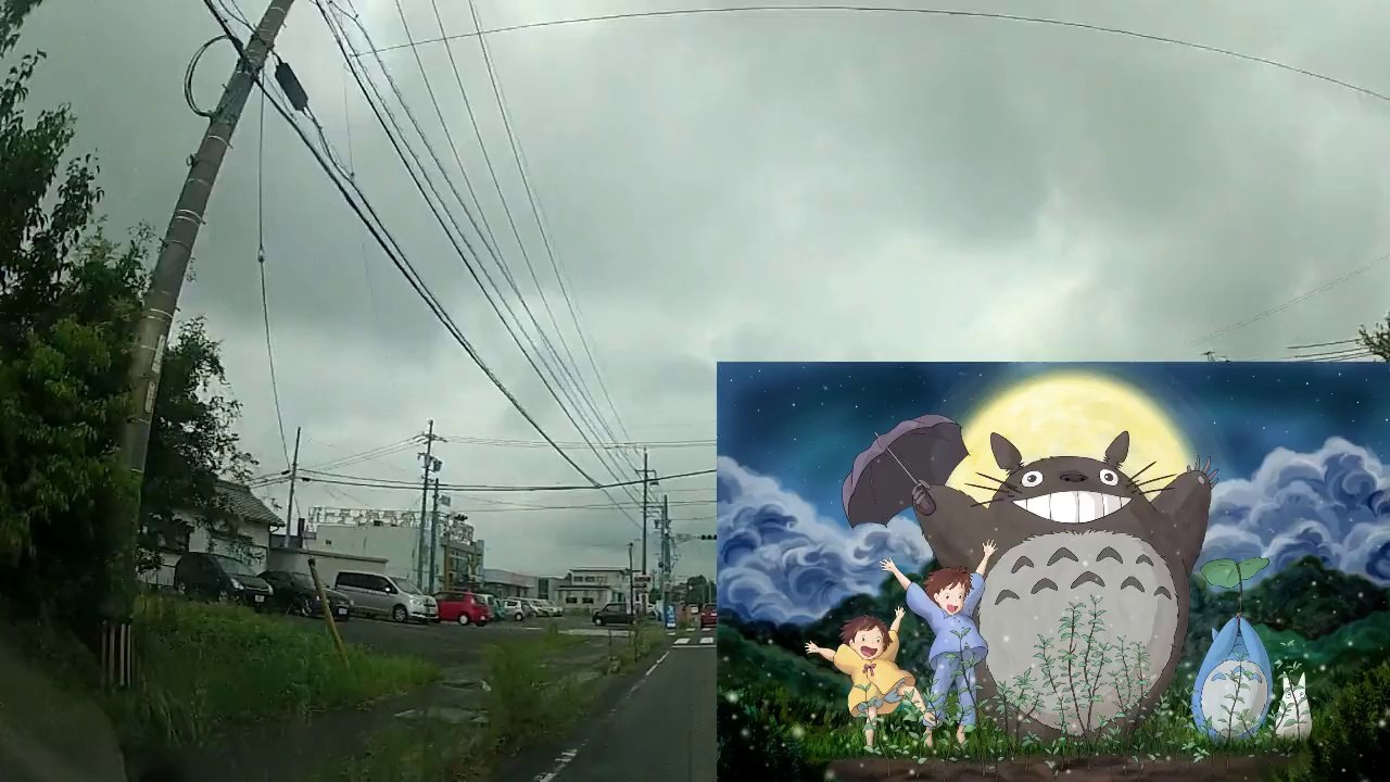 Japan's Best Animation?!