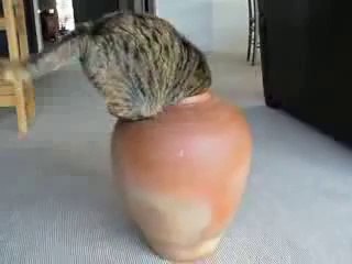 ☏카지노라이브↖☏▤▶ YAM ７７７.℃OM ◁▤☞카지노라이브카지노라이브카지노라이브카지노라이브카지노라이브카지노라이브카지노라이브카지노라이브