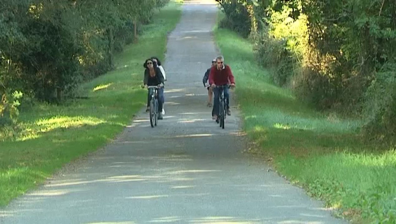 Expérience bretonne : balade à vélo dans les marais salants (Morbihan)