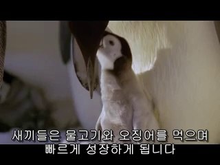 BAMWAR .COM【】광산구오피텁니다그들의 경북오피￠벌일