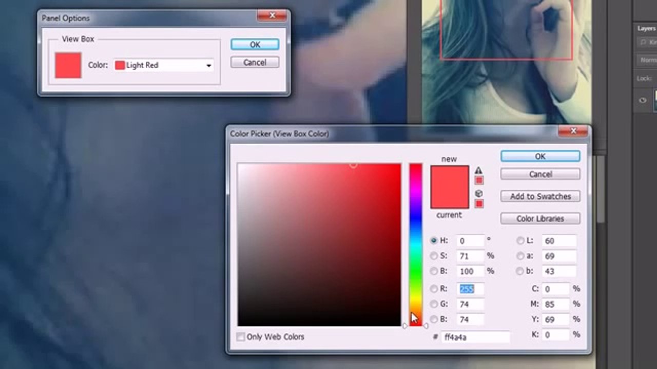 photoshop navigation panel and zoom tools