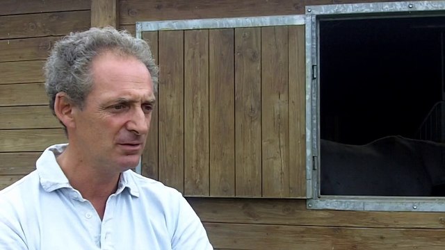 L'épreuve de reining aux Jeux Equestres Mondiaux