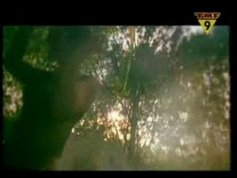 Armin Van Buuren ft. DJ Tiesto - Eternit