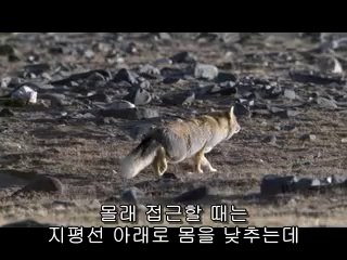 ㉱선릉립카페௵대전립카페༼서초립카페༶