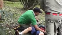 Menino atacado por tigre em zoológico, Criança perde braço após ataque de tigre