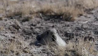 ㉦부평립카페༔연산립카페༆대전립카페ༀ