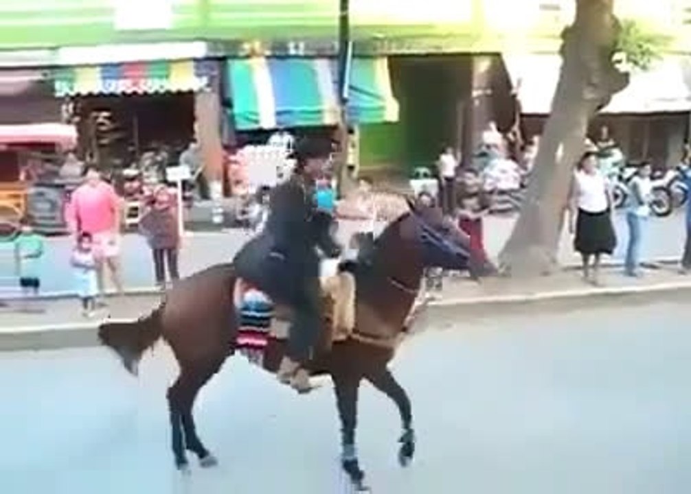 Hahah! Have you seen this WWE Horse