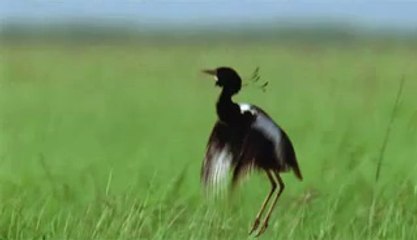 ㉳선릉립카페༭대전립카페ຕ거제립카페ປ