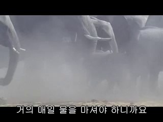 ㈌강북립카페༊성정립카페༜동묘립카페༖