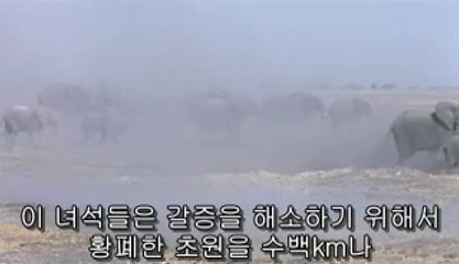 ㈋일산립카페༎༏탄방동립카페༞상봉립카페༘